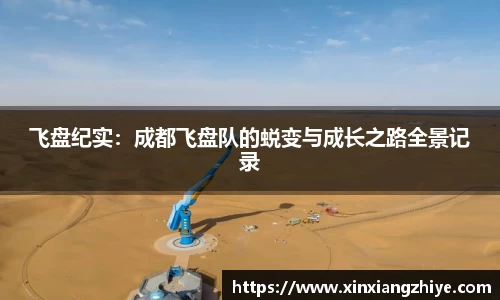 飞盘纪实：成都飞盘队的蜕变与成长之路全景记录